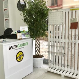 AVERGARDEN NEGOZIO DAVOLI MARINA (5) AVERGARDEN NEGOZIO DAVOLI MARINA (5)
